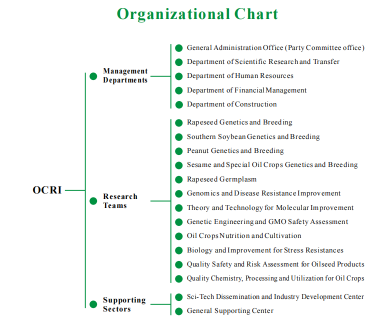 Organizational Chart.png