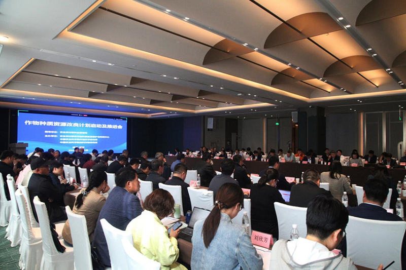 Rapeseed Germplasm Improvement Program Launched.png