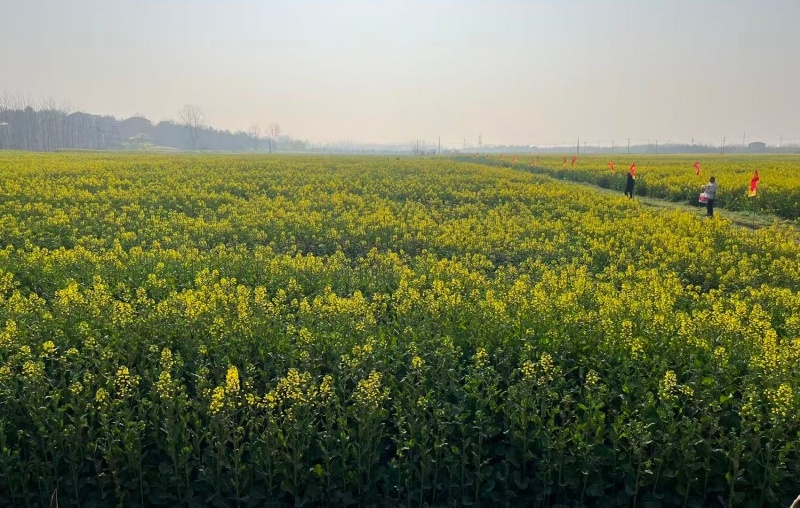 _cgi-bin_mmwebwx-bin_webwxgetmsgimg &MsgID=1415067372493810574&skey=@crypt_b3ba32ef_ebbe534f65a3512ba60d9fb56ce15181&mmweb_appid=wx_webfilehelper_副本.jpg