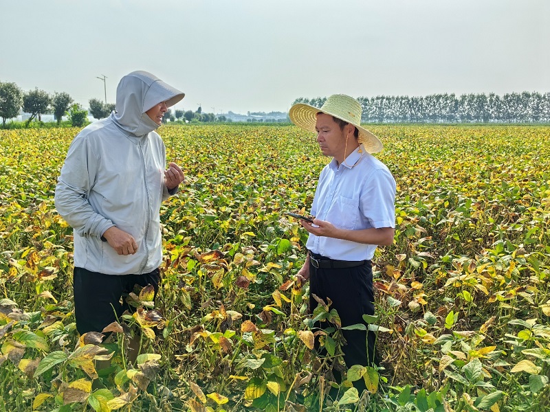 1.大豆团队下沉图片800.jpg